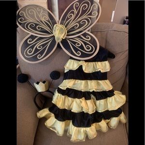 Queen Bee/Bumble Bee Costume